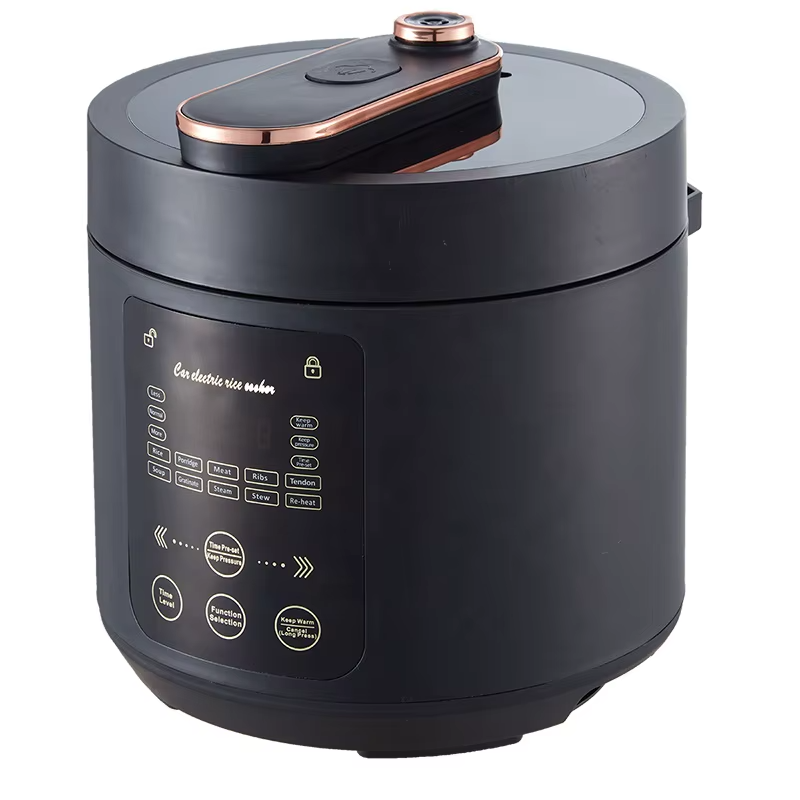 Portable Rice Cooker-12-24 DC  - Baby Rice Food avaliação e preço