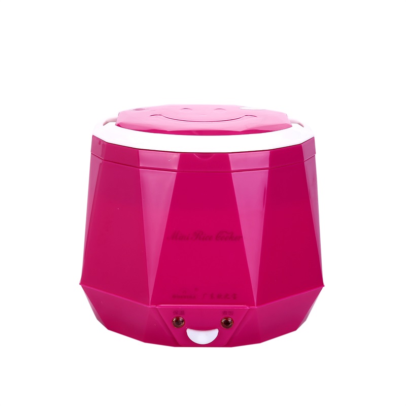 DC12V/DC24V/AC220V 100W POWER  - Baby Rice Food avaliação e preço